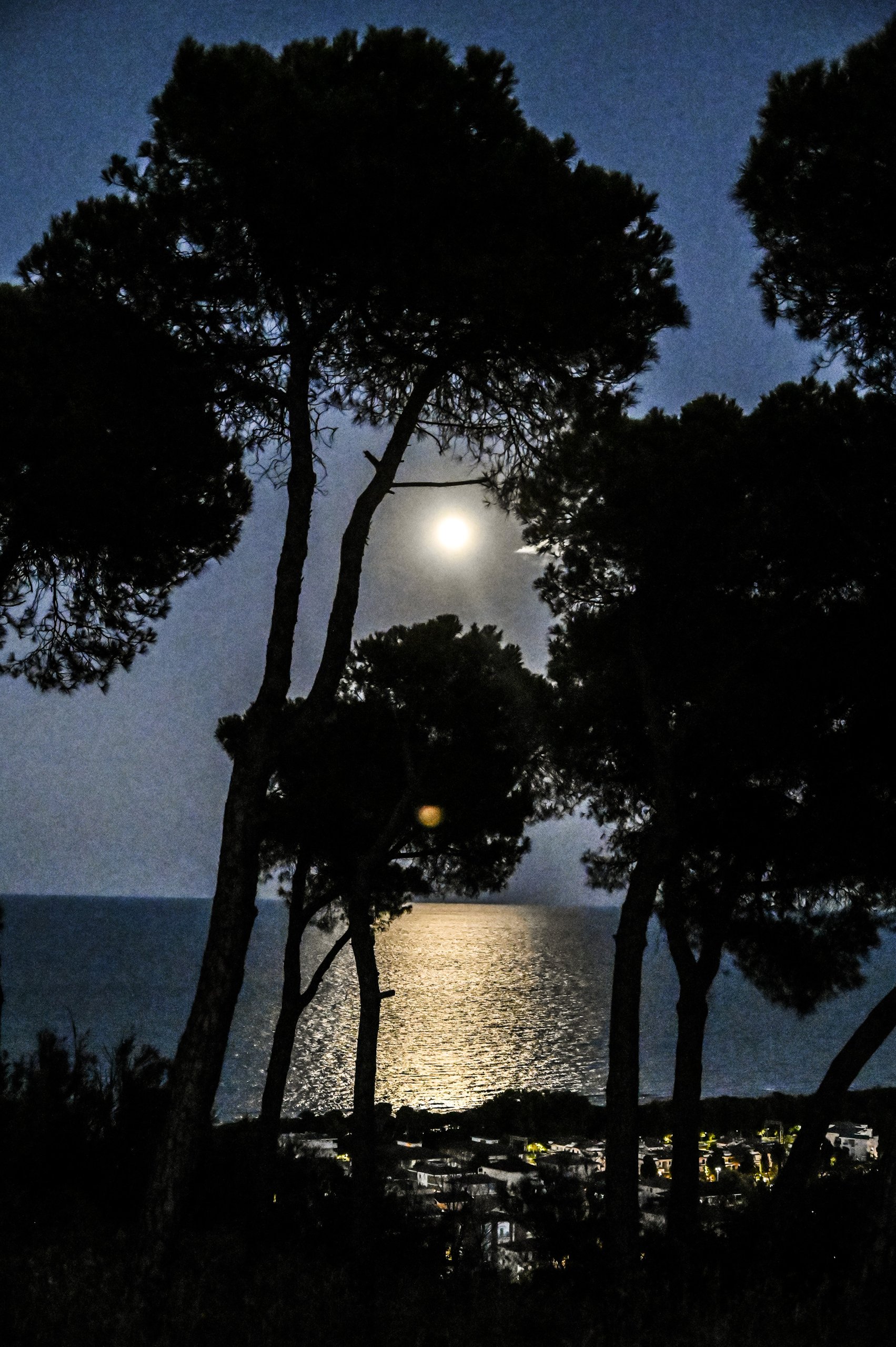Foto della redazione, 4 di 5