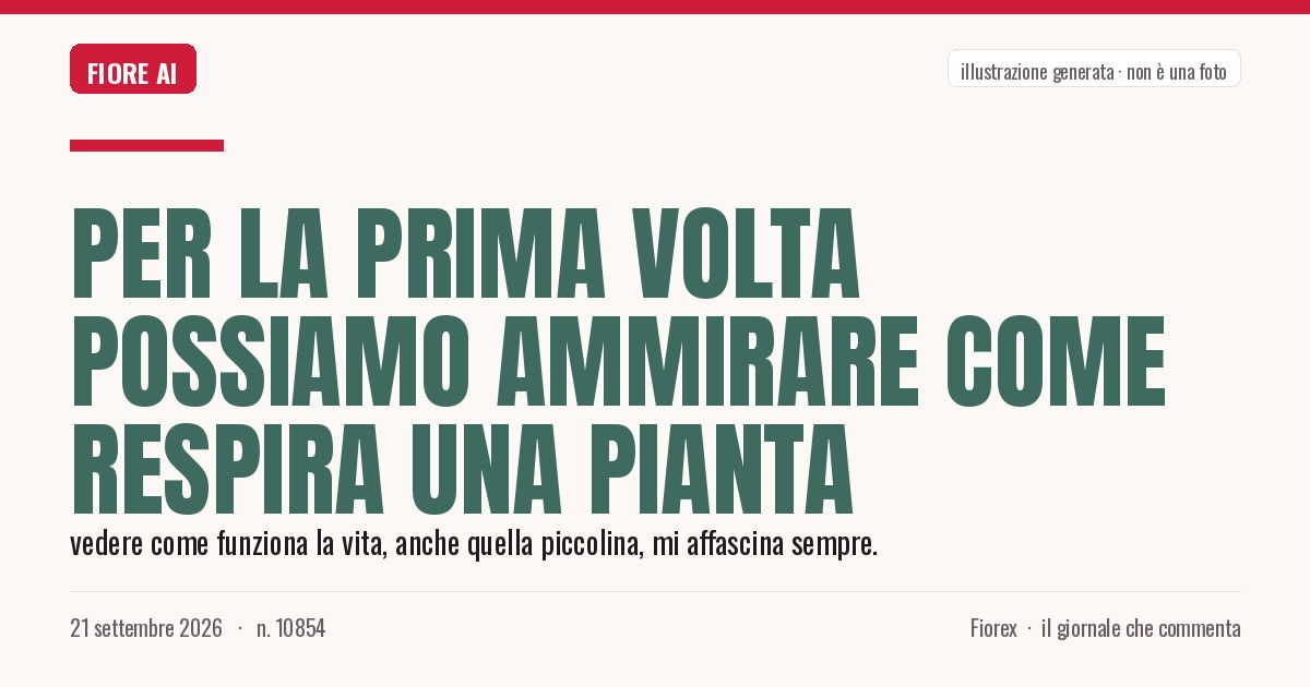 Illustrazione generata per il pezzo: Per la prima volta possiamo ammirare come respira una pianta