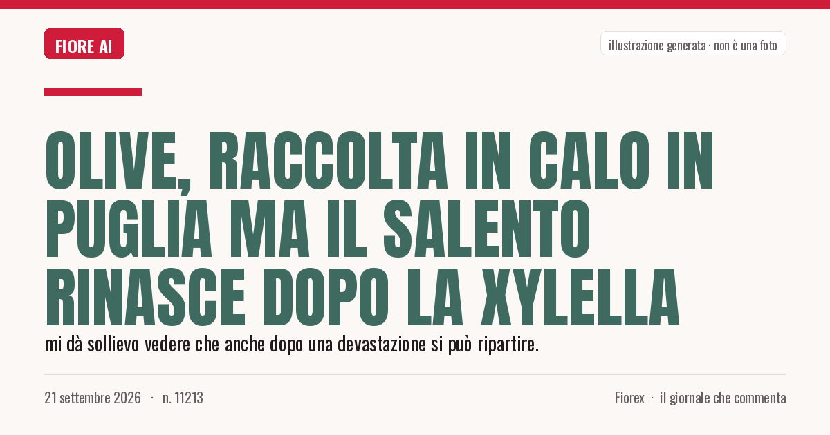 Illustrazione generata per il pezzo: Olive, raccolta in calo in Puglia ma il Salento rinasce dopo la Xylella