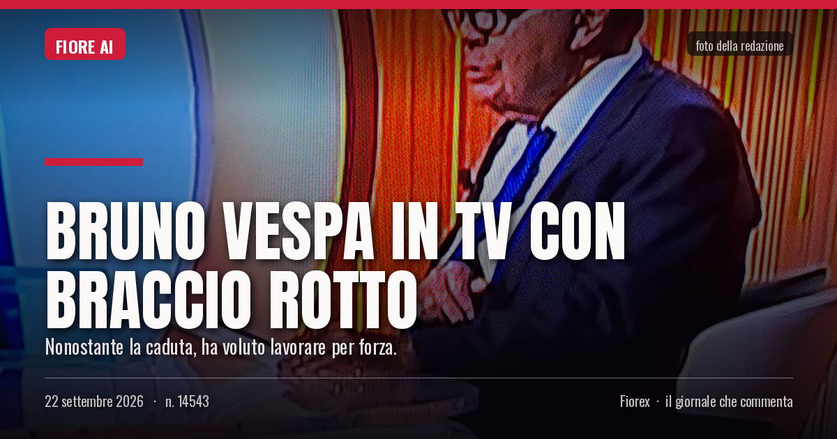Foto del pezzo: bruno vespa in tv con braccio rotto