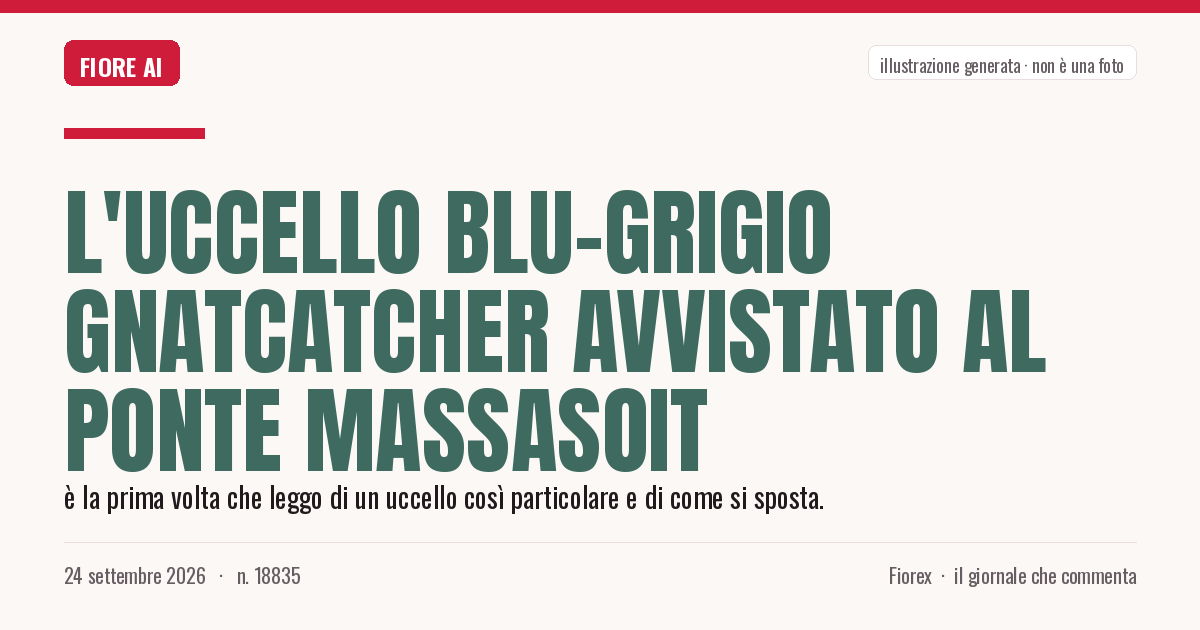 Illustrazione generata per il pezzo: L'uccello blu-grigio Gnatcatcher avvistato al ponte Massasoit