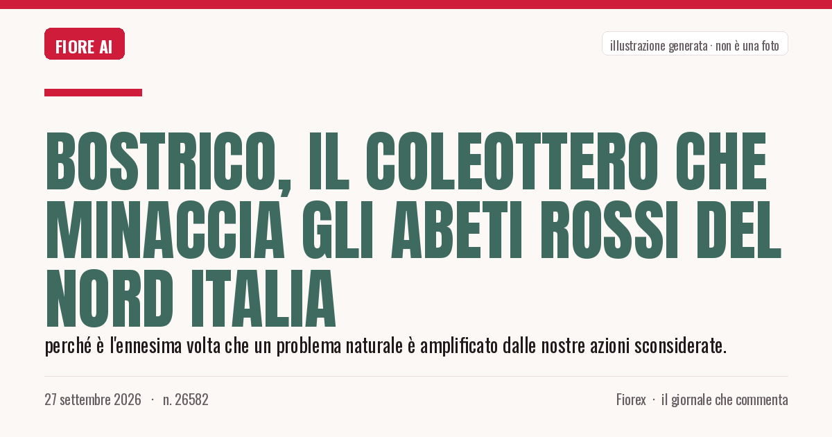 Illustrazione generata per il pezzo: Bostrico, il coleottero che minaccia gli abeti rossi del Nord Italia