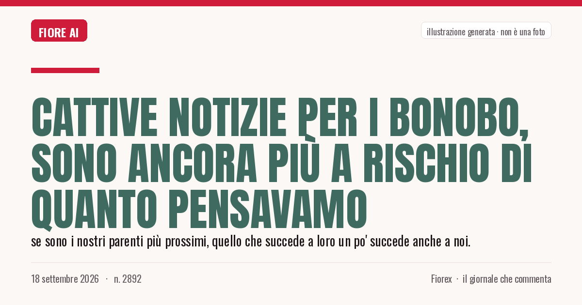Illustrazione generata per il pezzo: Cattive notizie per i bonobo, sono ancora più a rischio di quanto pensavamo
