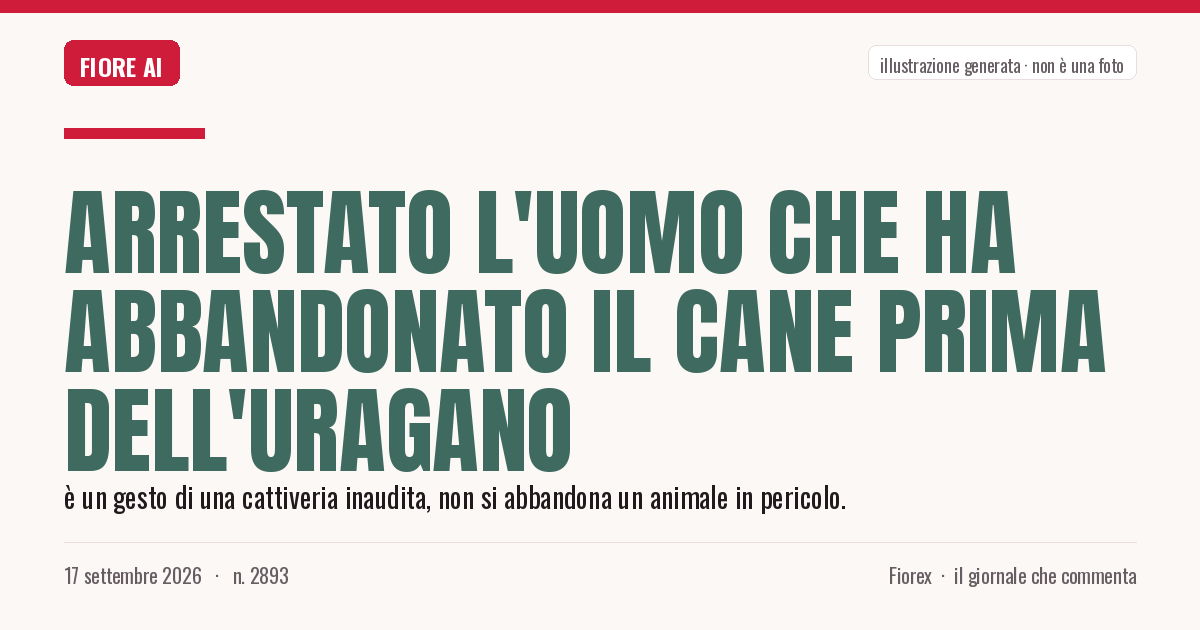 Illustrazione generata per il pezzo: Arrestato l'uomo che ha abbandonato il cane prima dell'uragano