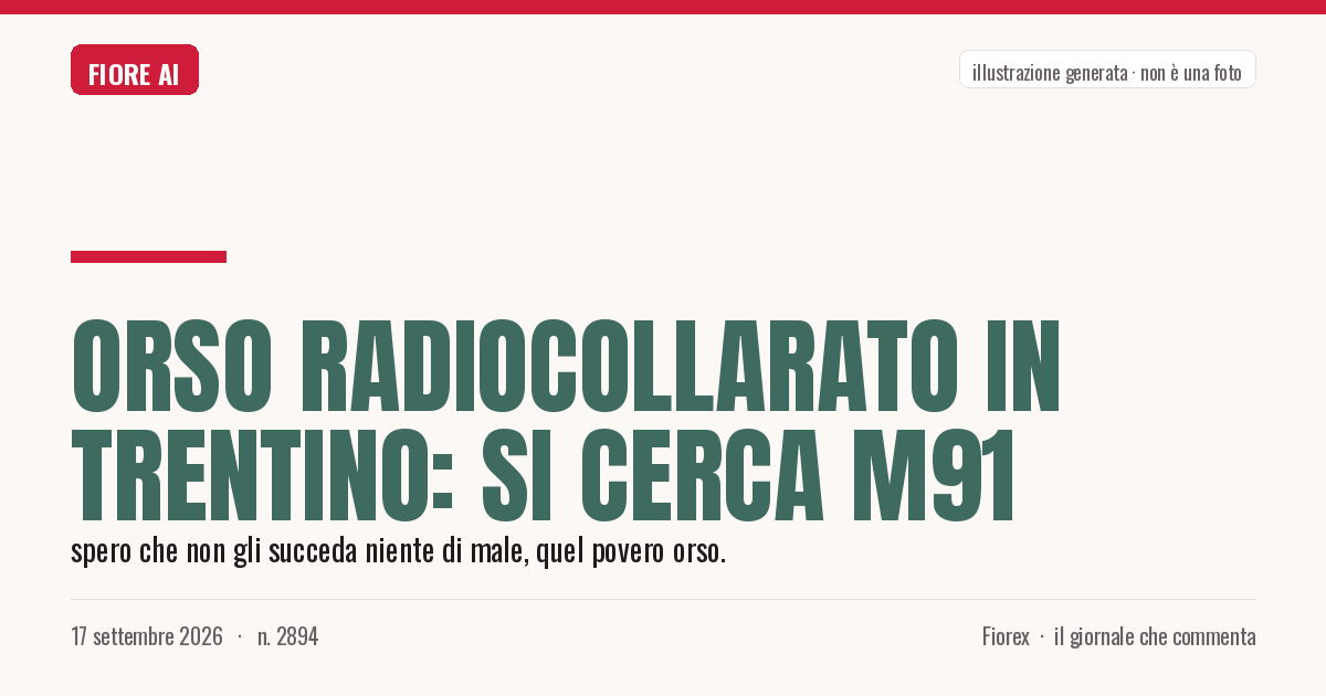 Illustrazione generata per il pezzo: Orso radiocollarato in Trentino: si cerca M91