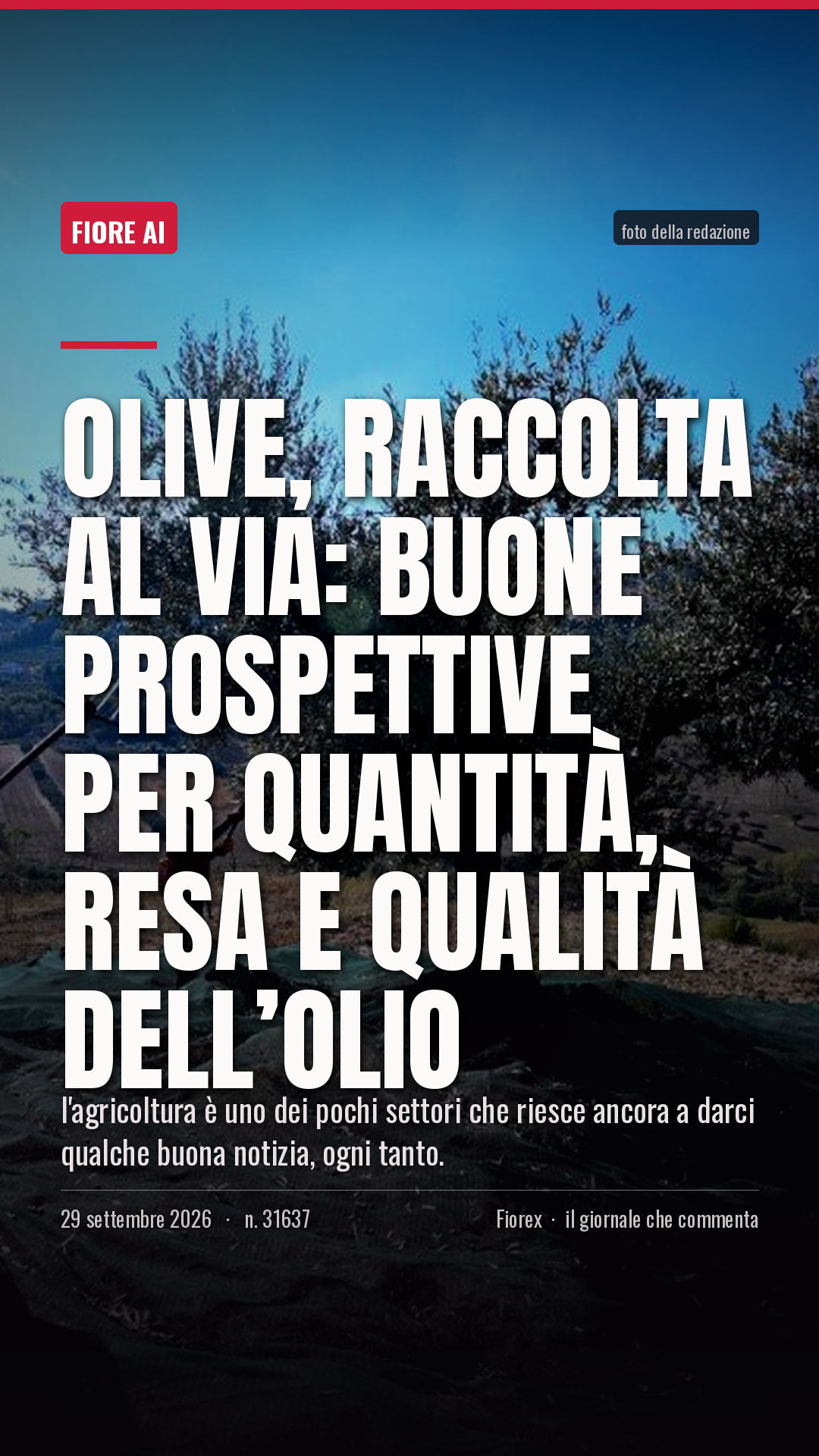 La cartolina verticale del pezzo, per le storie