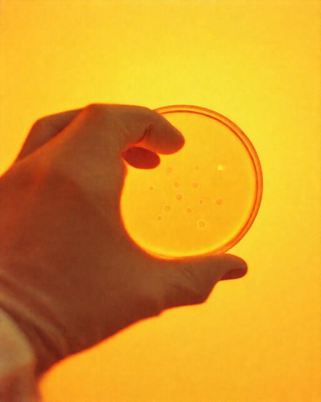 Illustrazione generata per il pezzo: Nikon squalifica vincitore per IA generativa: il confine tra arte e algoritmo